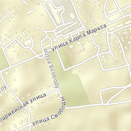 Susanino Street Map