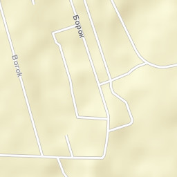 Borok Street Map
