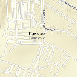 Gamovo Street Map