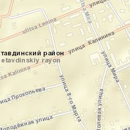 Nizhnyaya Tavda Street Map