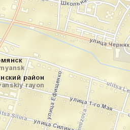 Demyansk Street Map