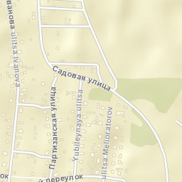 Dedovichi Street Map