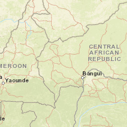 Cameroon Street Map