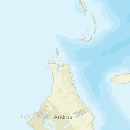 Nichollstown and Berry Islands Street Map
