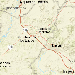 Aguascalientes Street Map