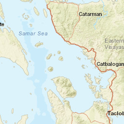 Eastern Visayas Street Map