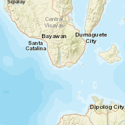 Negros Oriental Street Map