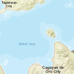 Misamis Oriental Street Map