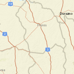 Flores Department Street Map