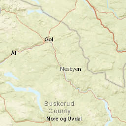 Buskerud Street Map