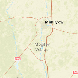 Mogilev Region Street Map