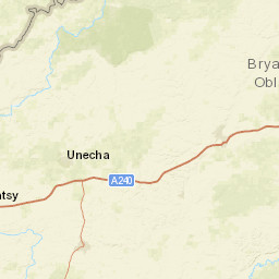 Bryansk Oblast Street Map