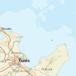 Tunis Street Map